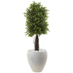 40 Inch Ixora Topiary In White Planter: UV Protected