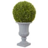 30 Inch Boxwood Topiary In Decorative Urn: UV Protected -Artificial Trees Shop NEA 5965