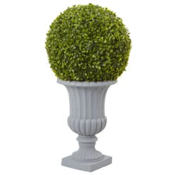 30 Inch Boxwood Topiary In Decorative Urn: UV Protected