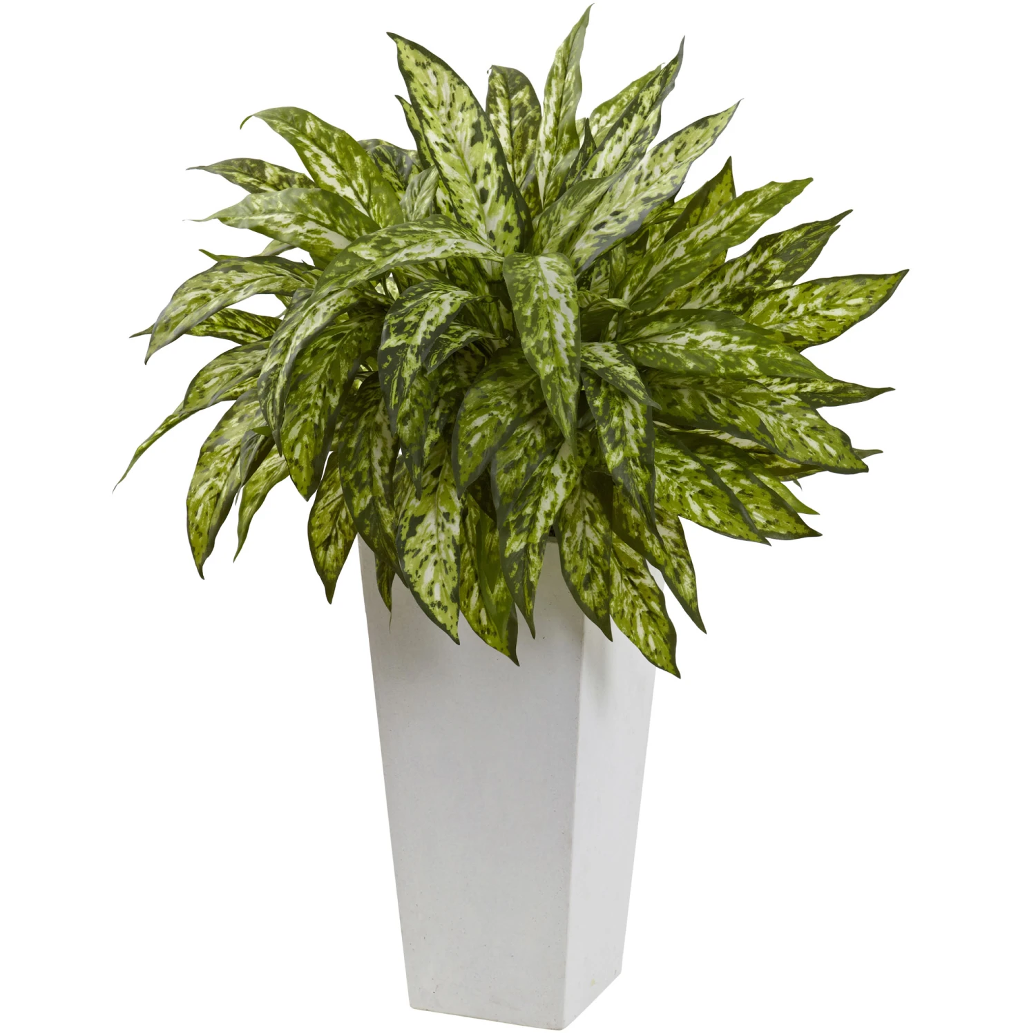 28 Inch Aglaonema In White Decorative Planter 3 28 Inch Aglaonema In White Decorative Planter