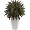 30 Inch Peacock Plant In White Planter -Artificial Trees Shop NEA 6841
