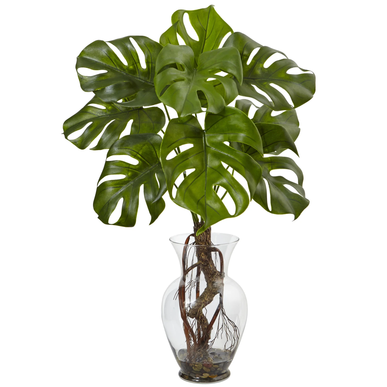 26 Inch Monstera Plant In Vase 3 26 Inch Monstera Plant In Vase