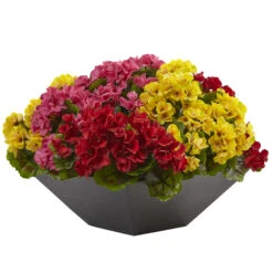 15 Inch Geranium In Black Planter: Limited UV Protection