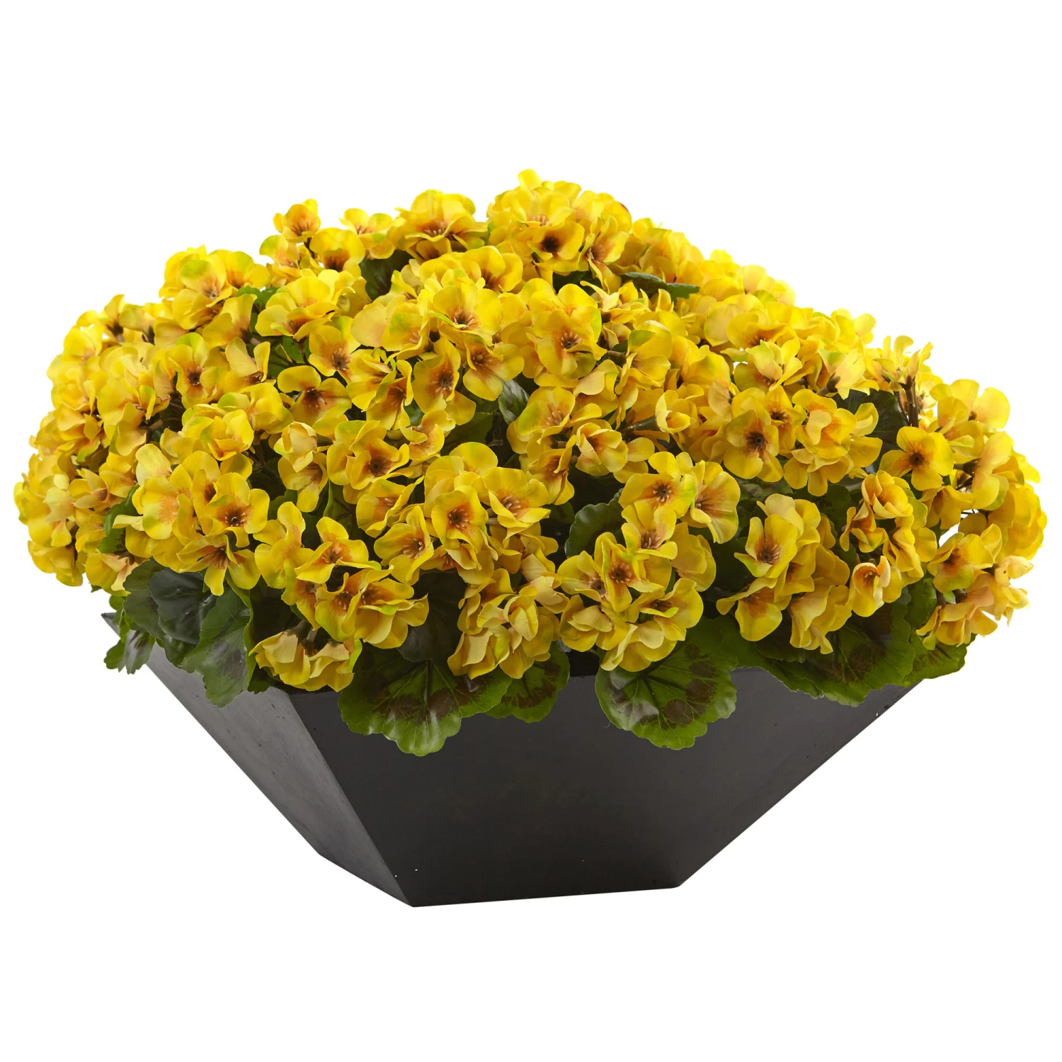 15 Inch Yellow Geranium In Black Planter: Limited UV Protection 3 15 Inch Yellow Geranium In Black Planter: Limited UV Protection