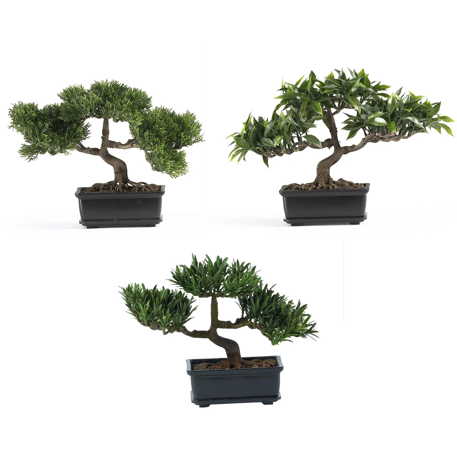 12 Inch Bonsai Collection (Set Of 3) 3 12 Inch Bonsai Collection (Set Of 3)