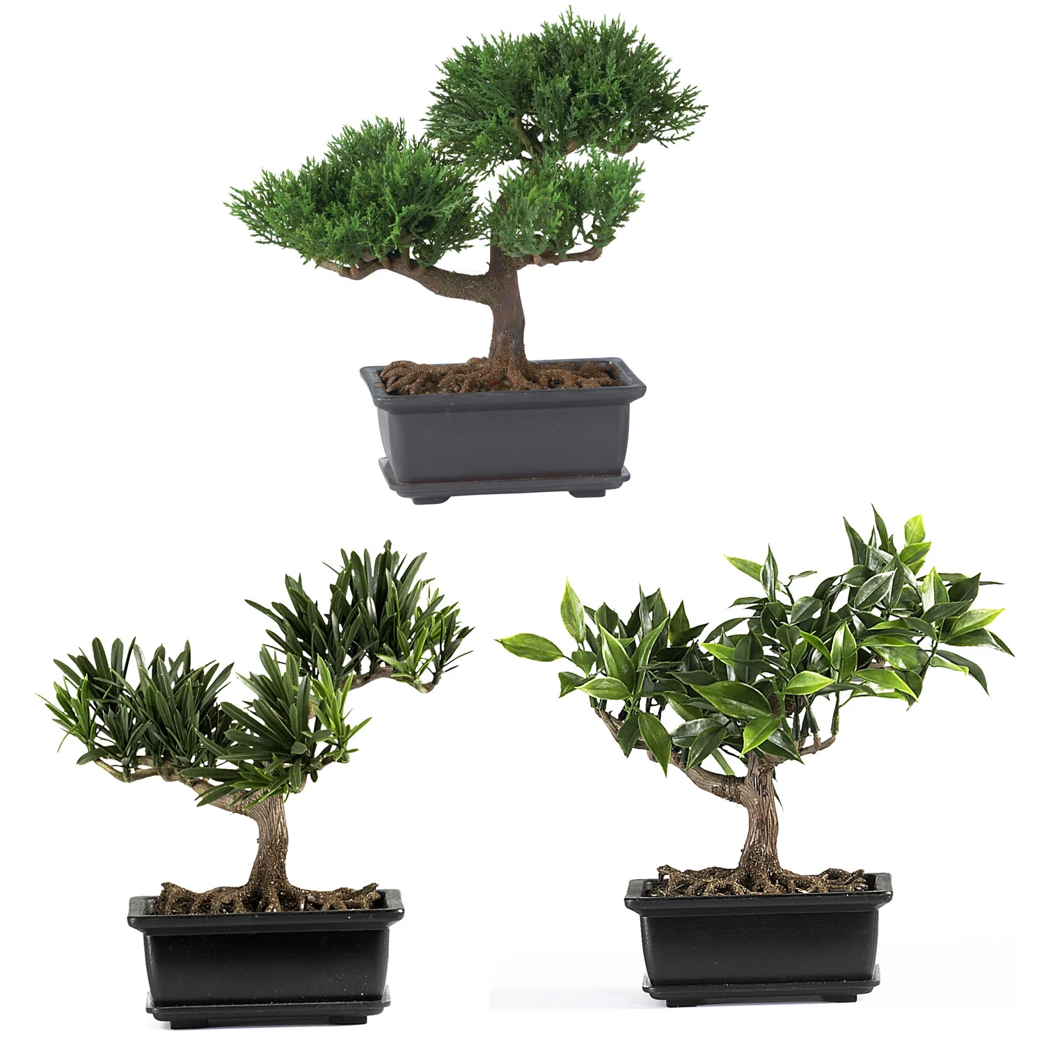 8.5 Inch Bonsai Collection (Set Of 3) 3 8.5 Inch Bonsai Collection (Set Of 3)