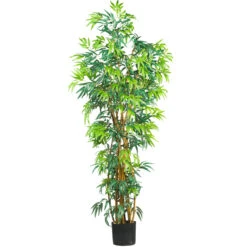 6 Foot Fancy Style Bamboo Tree: Potted