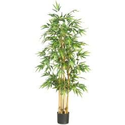 64 Inch Bamboo Tree: Potted