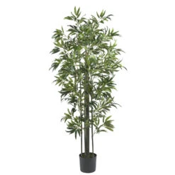 6 Foot Bamboo Tree With Green Trunks: Potted
