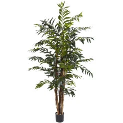 5 Foot Bamboo Palm Tree: Potted