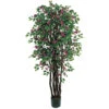 6 Foot Bougainvillea Tree: Potted