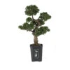 36 Inch Cedar Bonsai 2 36 Inch Cedar Bonsai -Artificial Trees Shop NEA1139 ZM 1