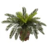 15 Inch Cycas Palms In Hexagon Planter