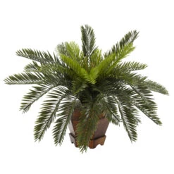 15 Inch Cycas Palms In Hexagon Planter