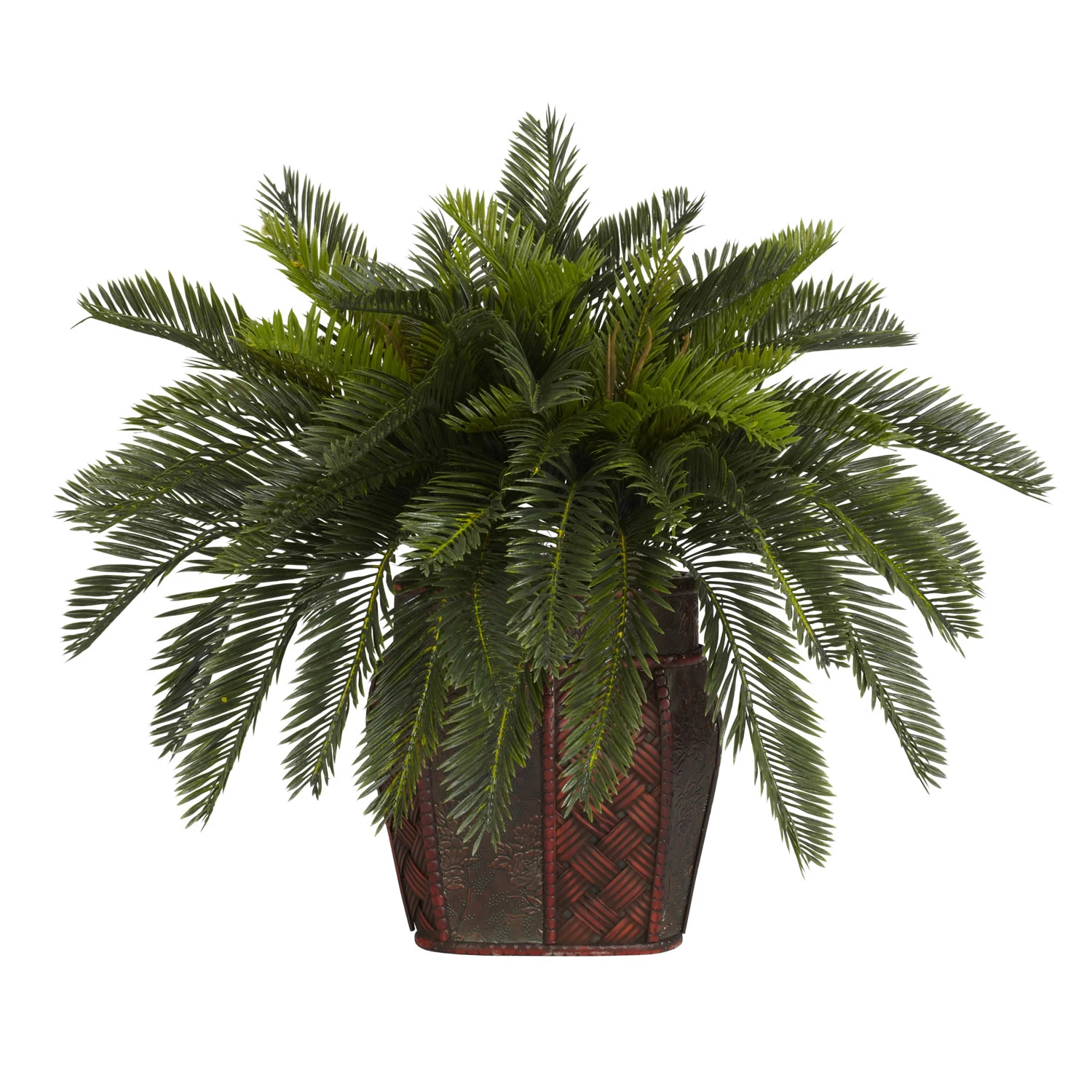 19 Inch Double Cycas Palms In Planter 3 19 Inch Double Cycas Palms In Planter