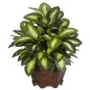 19 Inch Golden Dieffenbachia In Planter -Artificial Trees Shop NEA1181 ZM 1