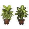 20.5 Inch Assorted Dieffenbachia In Wood Vase (Set Of 2) -Artificial Trees Shop NEA1187 ZM 1