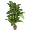 5 Foot Dieffenbachia: Potted 1 5 Foot Dieffenbachia: Potted -Artificial Trees Shop NEA1190 ZM 1