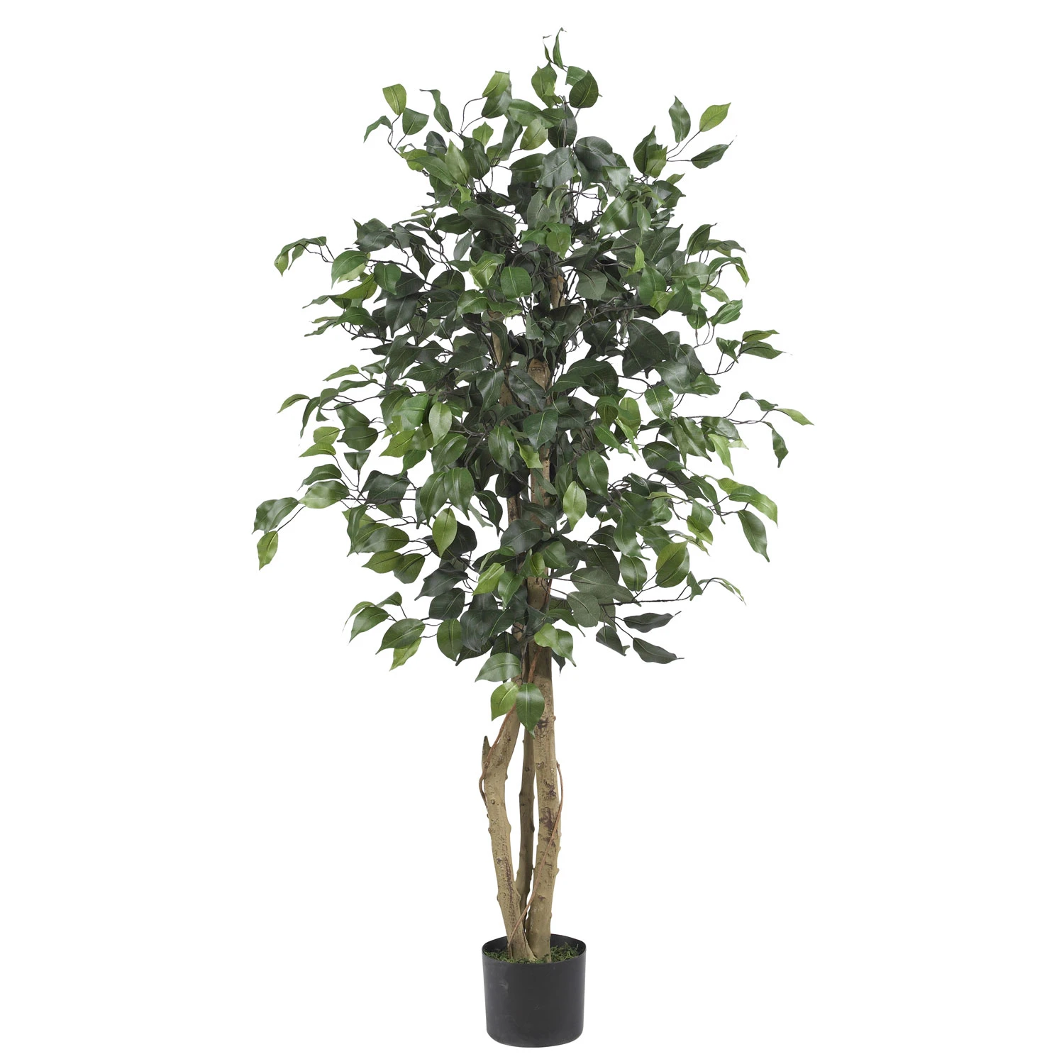 4 Foot Silk Ficus Tree: Potted 3 4 Foot Silk Ficus Tree: Potted