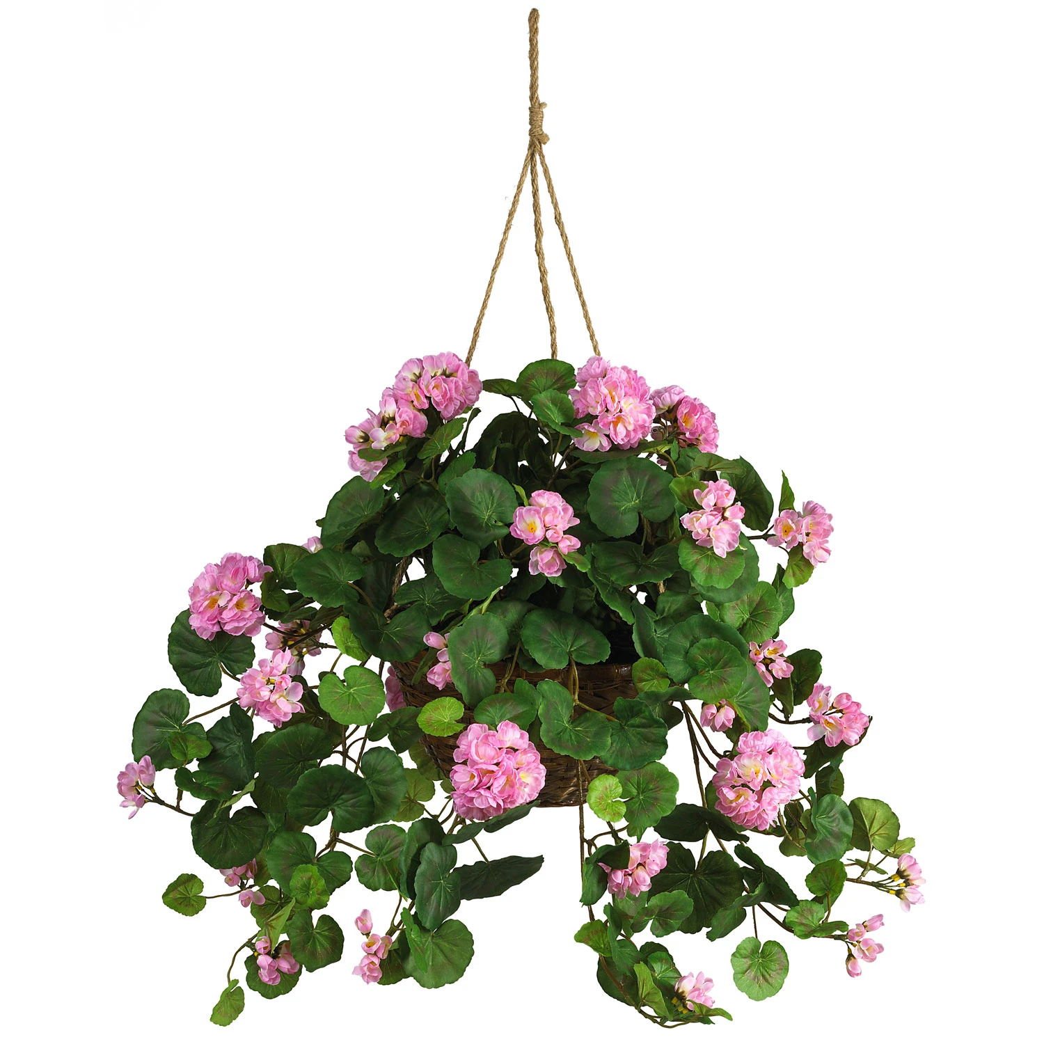 24 Inch Pink Geranium In Hanging Basket 3 24 Inch Pink Geranium In Hanging Basket