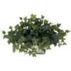 14 Inch Ivy In White Wash Planter -Artificial Trees Shop NEA1234 ZM 1