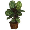 26 Inch Maranta In Basket -Artificial Trees Shop NEA1249 ZM 1