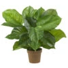 27 Inch Large Leaf Philodendron: Potted -Artificial Trees Shop NEA1283 ZM 1