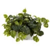 14 Inch Pothos In White Wash Planter 1 14 Inch Pothos In White Wash Planter -Artificial Trees Shop NEA1303 ZM 1
