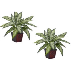 12 Inch Silver Queen In Decorative Planter (Set Of 2)