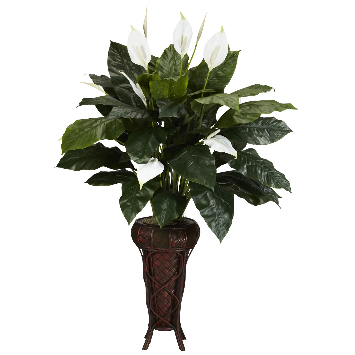 57 Inch Spathiphyllum In Stand 3 57 Inch Spathiphyllum In Stand