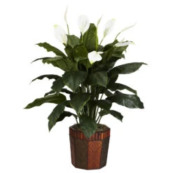 48 Inch Spathiphyllum In Decorative Planter