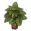 17 Inch Taro Plant In Vase 1 17 Inch Taro Plant In Vase -Artificial Trees Shop NEA1345 ZM 1