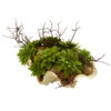 7 Inch Indoor Succulent Garden Arrangement In Decorative Seashell Base -Artificial Trees Shop NEA1400 ZM 1