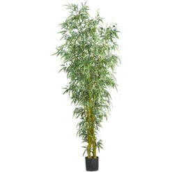 8 Foot Indoor Fancy Style Bamboo Silk Tree: Potted