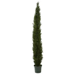 8 Foot Slim Cedar Pine Tree: Potted (Not UV Protected)
