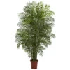 7.5 Foot Outdoor Areca Palm Tree: Limited UV -Artificial Trees Shop NEA1422 ZM 1