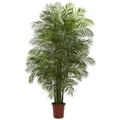 7.5 Foot Outdoor Areca Palm Tree: Limited UV
