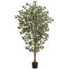 6 Foot Indoor (3 Trunk) Silk Hawaiian Ficus Tree: Potted -Artificial Trees Shop NEA1424 ZM 1