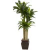 4.5 Foot Real Touch Indoor Cornstalk Dracaena Tree In Decorative Vase -Artificial Trees Shop NEA1431 ZM 1