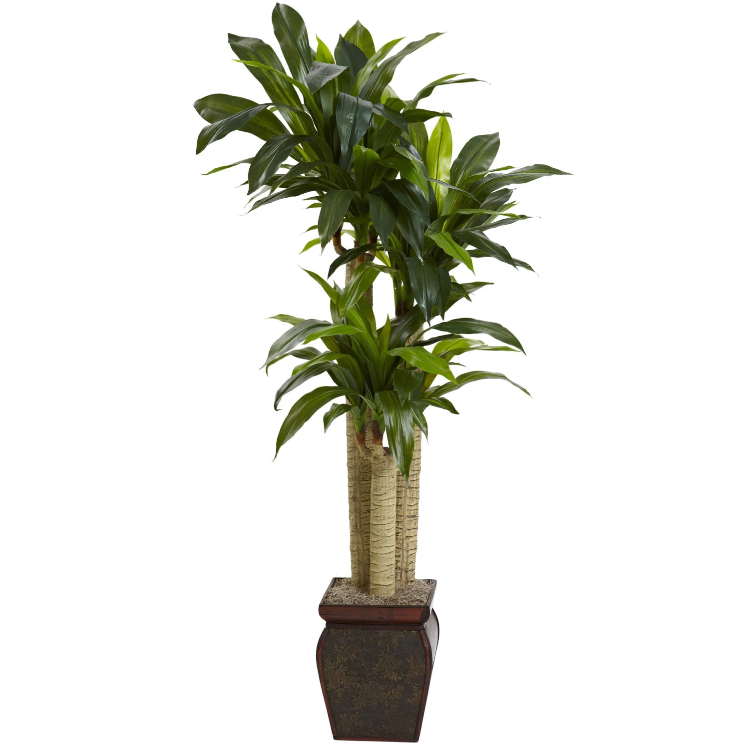 4.5 Foot Real Touch Indoor Cornstalk Dracaena Tree In Decorative Vase 3 4.5 Foot Real Touch Indoor Cornstalk Dracaena Tree In Decorative Vase