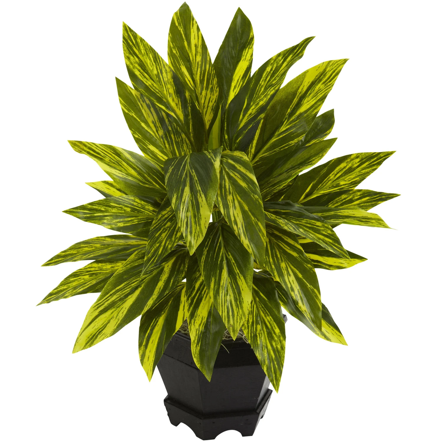 20 Inch Indoor Silk Ginger Plant With Decorative Black Planter 3 20 Inch Indoor Silk Ginger Plant With Decorative Black Planter