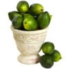 1 Dozen 3 Inch Faux Limes (Set Of 12) -Artificial Trees Shop NEA1453 ZM 1