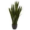 35 Inch Sansevieria In Black Decorative Planter 2 35 Inch Sansevieria In Black Decorative Planter -Artificial Trees Shop NEA1466 ZM 1