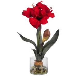 Amaryllis In Round Vase