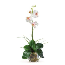 20 Inch Mini Phalaenopsis Orchid Liquid Illusion Silk Arrangement In Vase