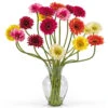 Gerber Daisy Arrangement In Acrylic Water 1 Gerber Daisy Arrangement In Acrylic Water -Artificial Trees Shop NEA2109 ZM 1