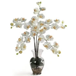 Silk Phalaenopsis Orchid Arrangement In Acrylic Water