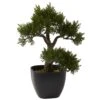 15 Inch Artificial Cedar Bonsai In Planter 2 15 Inch Artificial Cedar Bonsai In Planter -Artificial Trees Shop NEA2500 ZM 1