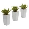 9 Inch Artificial Mini Agave In White Planter (Set Of 3) -Artificial Trees Shop NEA2506 ZM 1