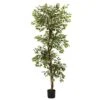 6 Foot Artificial Variegated Ficus Tree: Potted -Artificial Trees Shop NEA2519 ZM 1